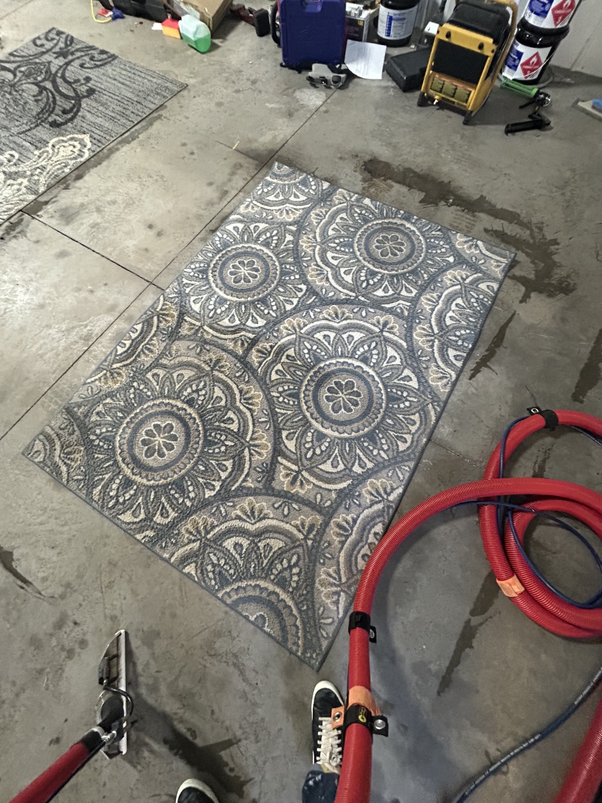 An area rug cleaned in our shop before drying