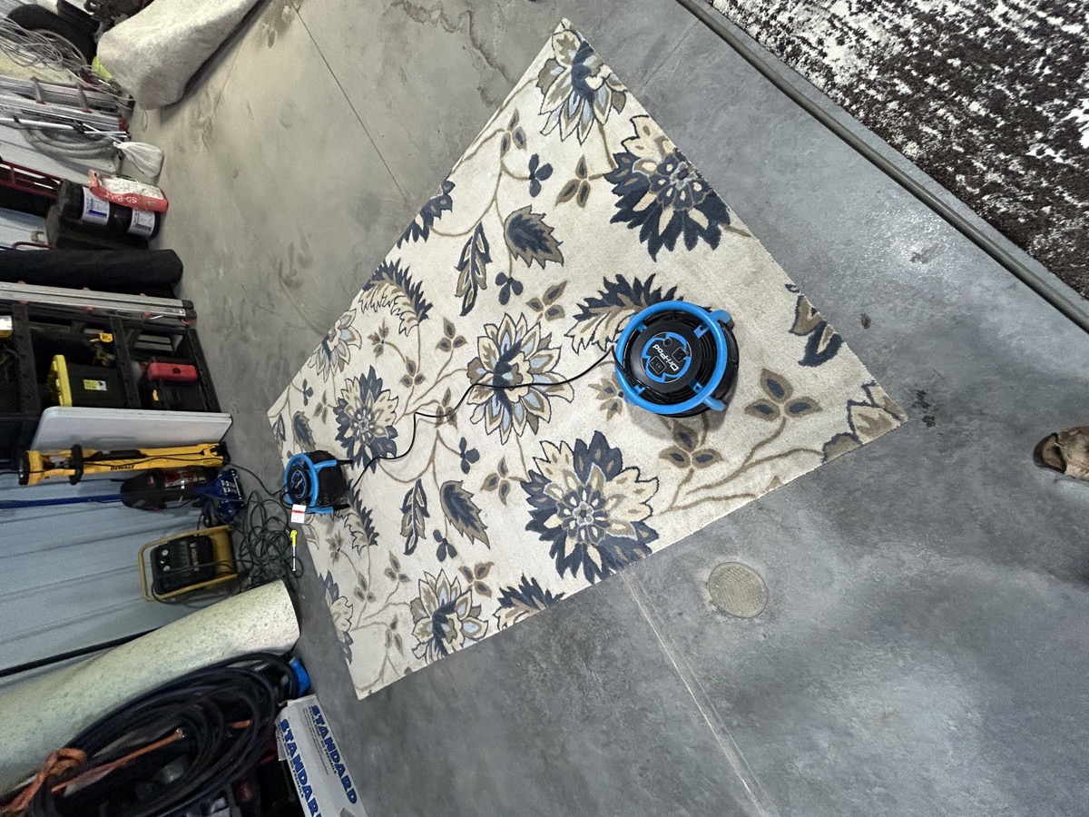 Area rug cleaned and drying in our shop