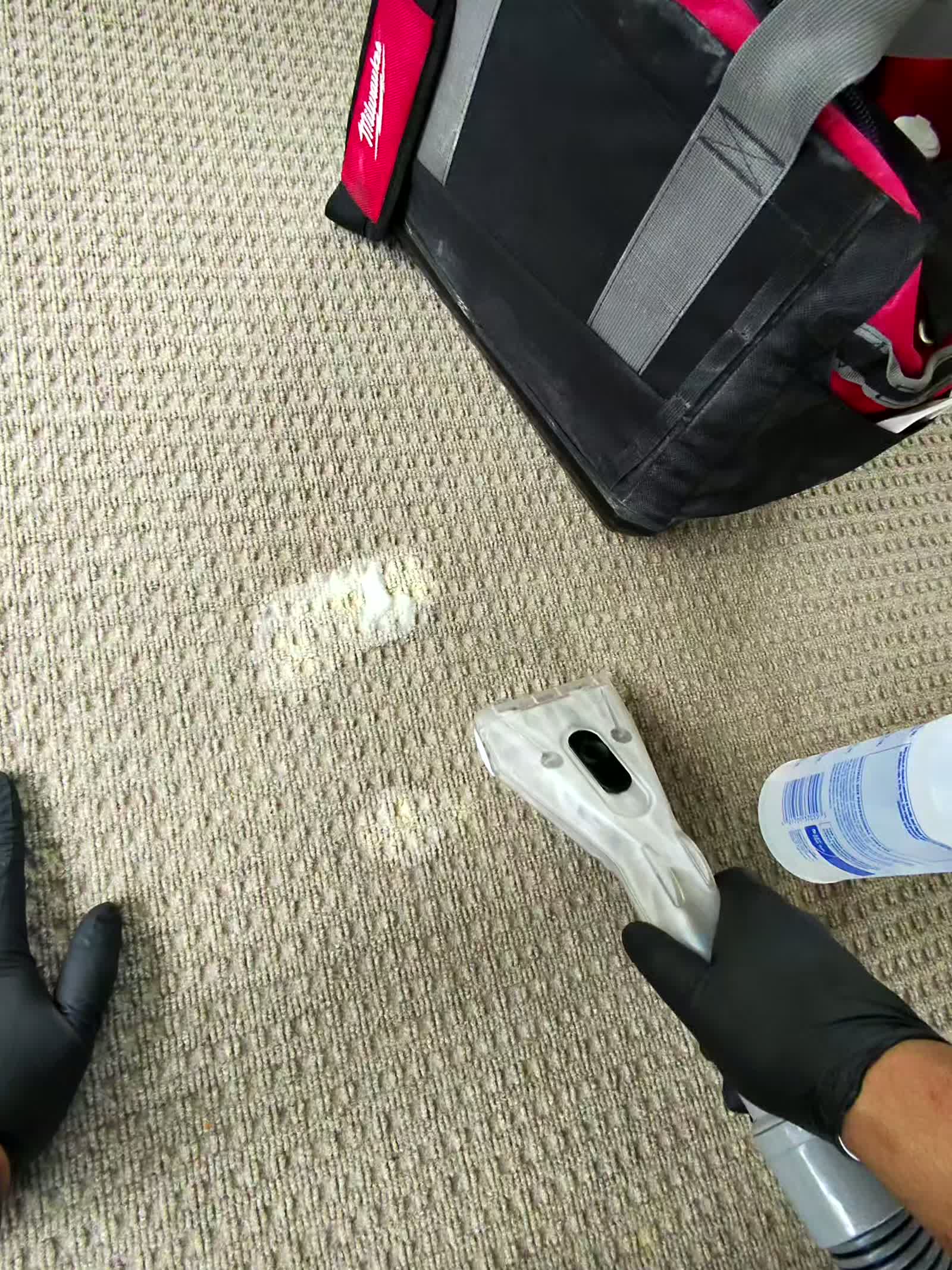 Treating a pet stain at the source